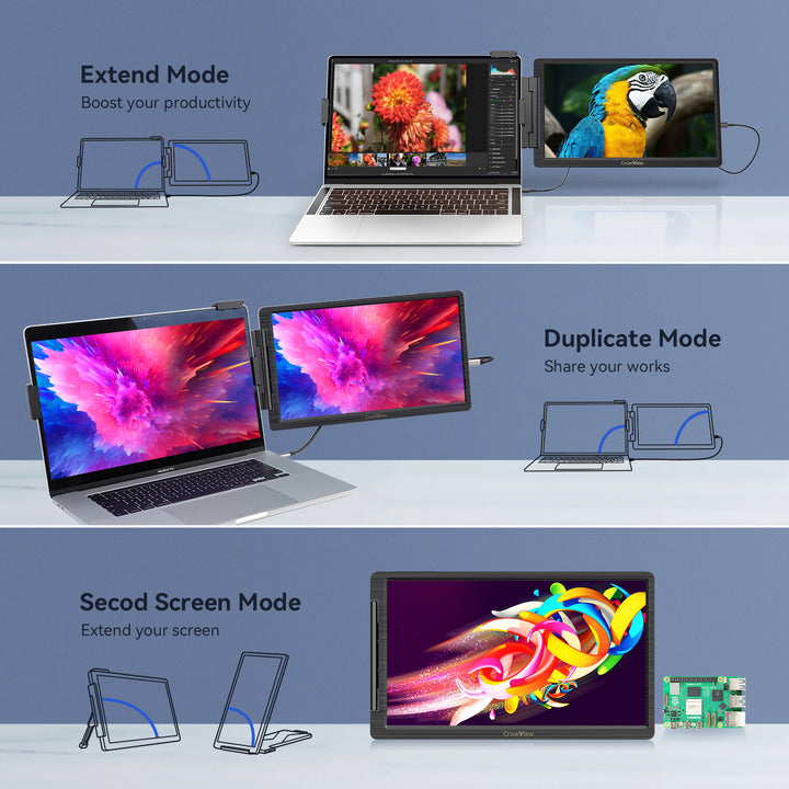 Crowview multiple display modes